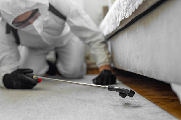 Professional Cockroach Control technician working in Reedley, CA